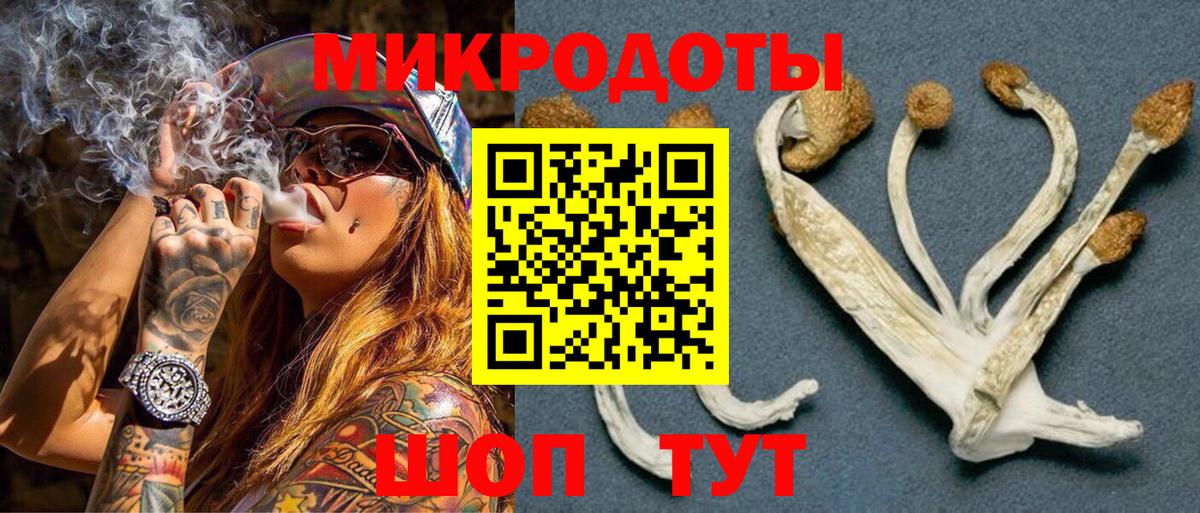Йошкар-Ола  Псилоцибиновые грибы мицелий  Вход с VPN 